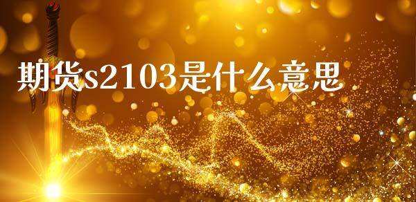 期货s2103是什么意思_https://cj007.lansai.wang_财经新闻_第1张