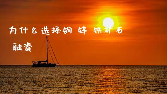 为什么选择铜 锌 铁矿石 融资_https://cj007.lansai.wang_债券资讯_第1张