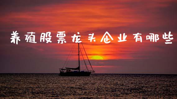 养殖股票龙头企业有哪些_https://cj007.lansai.wang_期货开户_第1张