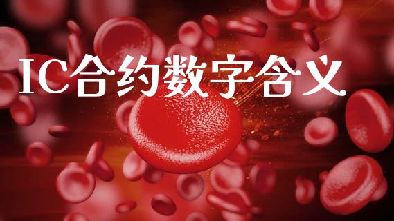 IC合约数字含义_https://cj007.lansai.wang_全球市场_第1张
