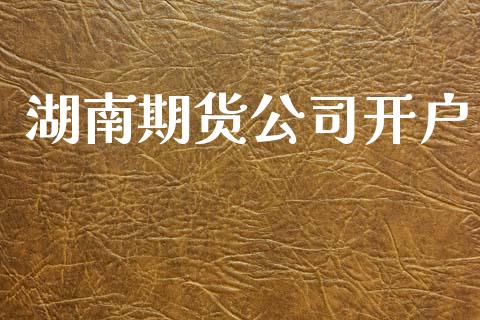 湖南期货公司开户_https://cj007.lansai.wang_债券资讯_第1张