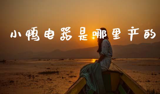 小鸭电器是哪里产的_https://cj007.lansai.wang_外汇交易_第1张