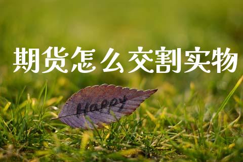 期货怎么交割实物_https://cj007.lansai.wang_债券资讯_第1张