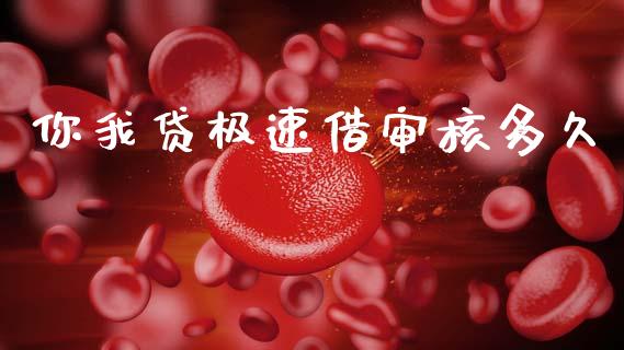 你我贷极速借审核多久_https://cj007.lansai.wang_金融监管_第1张