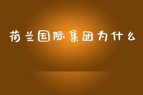 荷兰国际集团为什么_https://cj007.lansai.wang_金融监管_第1张