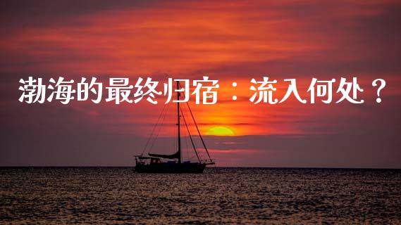 渤海的最终归宿：流入何处？_https://cj007.lansai.wang_期货开户_第1张