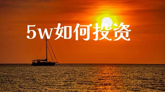 5w如何投资_https://cj007.lansai.wang_财经新闻_第1张