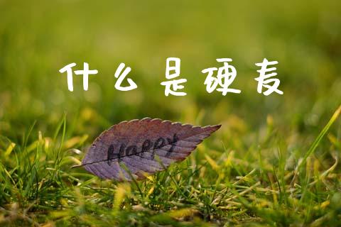 什么是硬麦_财经新闻_第1张_期货开户_金融监管_外汇交易_债券资讯_全球市场_财经新闻 什么是硬麦_https://cj007.lansai.wang_财经新闻_第1张