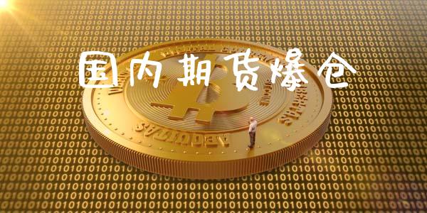 国内期货爆仓_https://cj007.lansai.wang_外汇交易_第1张