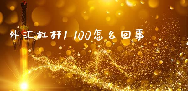 外汇杠杆1 100怎么回事_https://cj007.lansai.wang_金融监管_第1张
