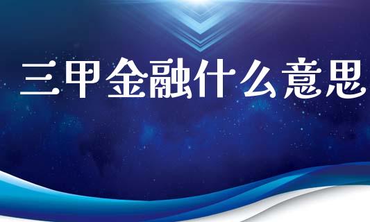 三甲金融什么意思_https://cj007.lansai.wang_期货开户_第1张