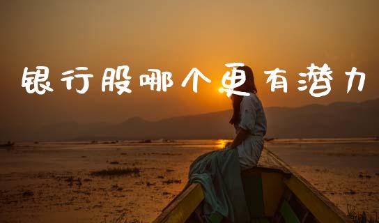 银行股哪个更有潜力_https://cj007.lansai.wang_期货开户_第1张