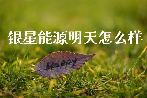 银星能源明天怎么样_https://cj007.lansai.wang_金融监管_第1张
