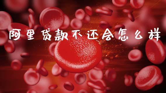 阿里贷款不还会怎么样_https://cj007.lansai.wang_期货开户_第1张