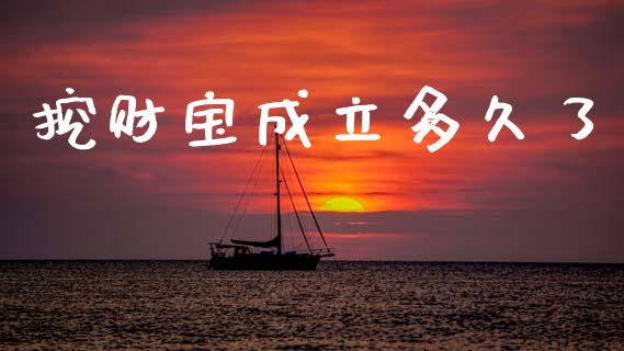 挖财宝成立多久了_https://cj007.lansai.wang_外汇交易_第1张