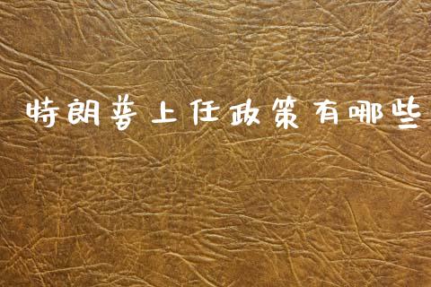 特朗普上任政策有哪些_https://cj007.lansai.wang_财经新闻_第1张