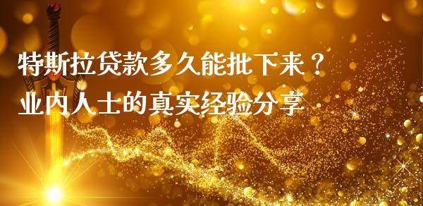 特斯拉贷款多久能批下来？业内人士的真实经验分享_https://cj007.lansai.wang_金融监管_第1张