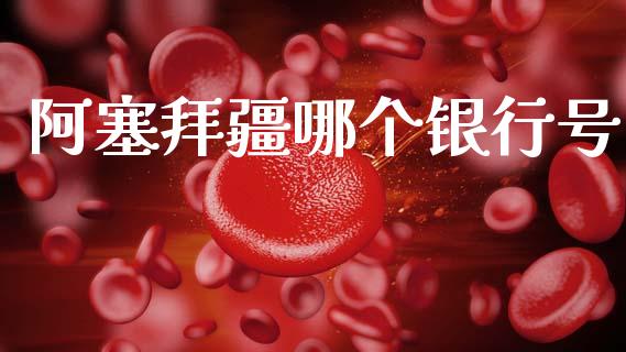 阿塞拜疆哪个银行号_https://cj007.lansai.wang_期货开户_第1张