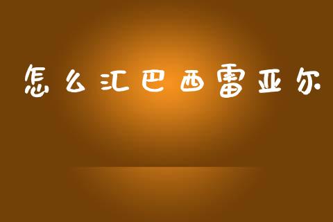怎么汇巴西雷亚尔_https://cj007.lansai.wang_外汇交易_第1张