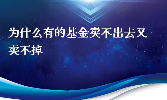 为什么有的基金卖不出去又卖不掉_https://cj007.lansai.wang_期货开户_第1张