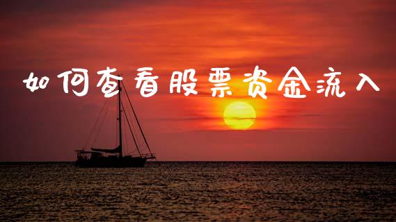 如何查看股票资金流入_https://cj007.lansai.wang_全球市场_第1张