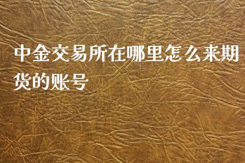 中金交易所在哪里怎么来期货的账号_https://cj007.lansai.wang_债券资讯_第1张