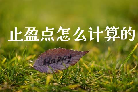 止盈点怎么计算的_https://cj007.lansai.wang_全球市场_第1张