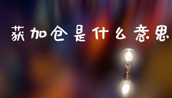获加仓是什么意思_https://cj007.lansai.wang_债券资讯_第1张