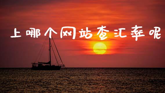 上哪个网站查汇率呢_https://cj007.lansai.wang_财经新闻_第1张