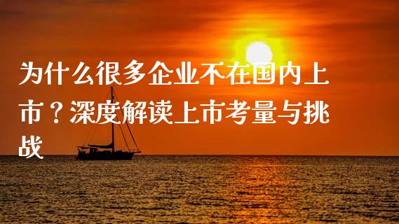 为什么很多企业不在国内上市？深度解读上市考量与挑战_https://cj007.lansai.wang_金融监管_第1张