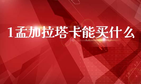 1孟加拉塔卡能买什么_https://cj007.lansai.wang_债券资讯_第1张