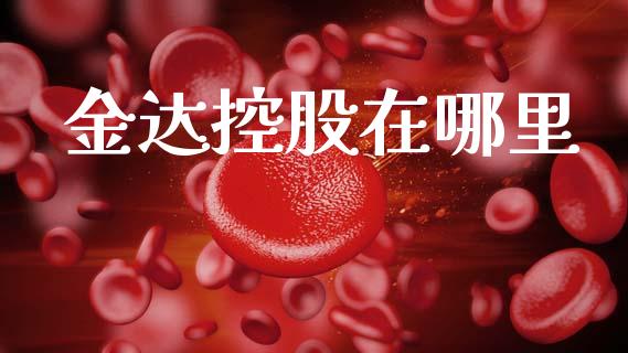 金达控股在哪里_https://cj007.lansai.wang_财经新闻_第1张