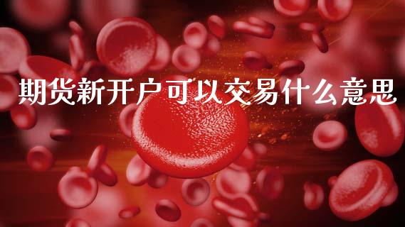 期货新开户可以交易什么意思_https://cj007.lansai.wang_债券资讯_第1张