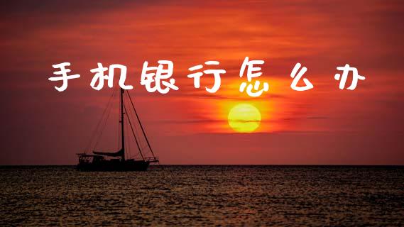 手机银行怎么办_https://cj007.lansai.wang_金融监管_第1张