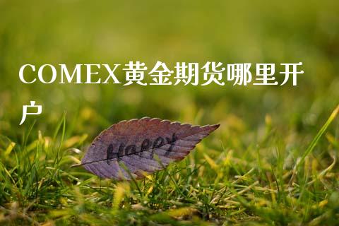 COMEX黄金期货哪里开户_https://cj007.lansai.wang_债券资讯_第1张