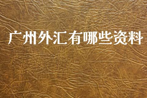 广州外汇有哪些资料_https://cj007.lansai.wang_金融监管_第1张