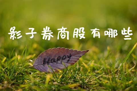 影子券商股有哪些_https://cj007.lansai.wang_金融监管_第1张
