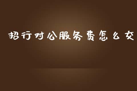 招行对公服务费怎么交_https://cj007.lansai.wang_外汇交易_第1张