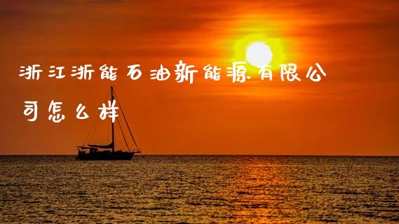 浙江浙能石油新能源有限公司怎么样_https://cj007.lansai.wang_外汇交易_第1张