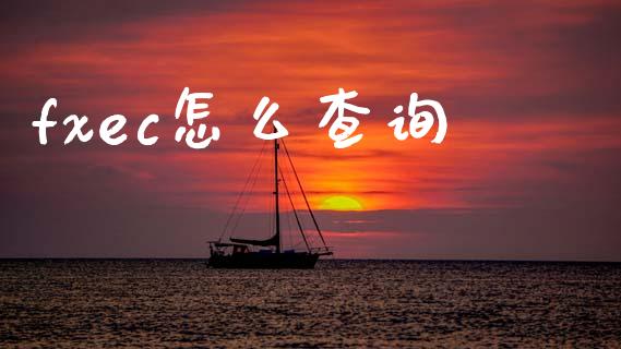 fxec怎么查询_https://cj007.lansai.wang_金融监管_第1张