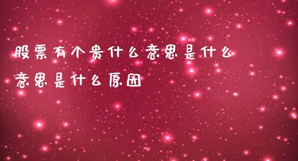 股票有个贵什么意思是什么意思是什么原因_https://cj007.lansai.wang_债券资讯_第1张