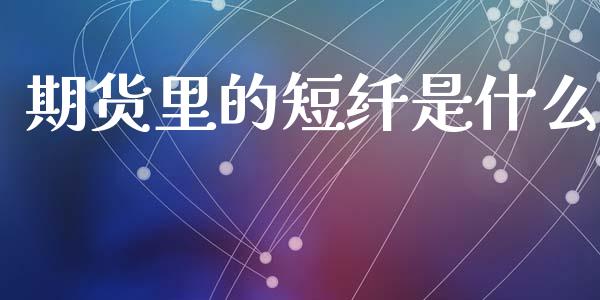 期货里的短纤是什么_https://cj007.lansai.wang_金融监管_第1张