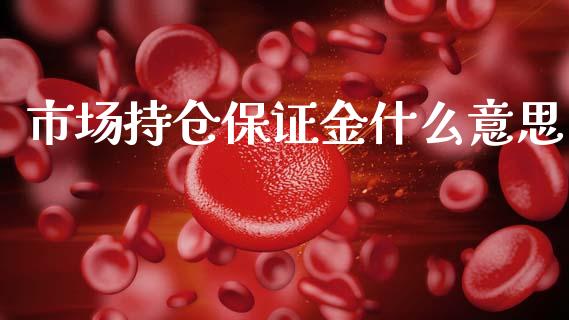 市场持仓保证金什么意思_https://cj007.lansai.wang_金融监管_第1张