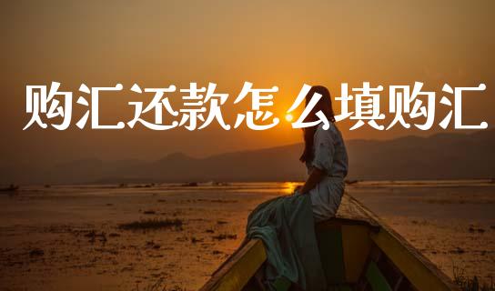 购汇还款怎么填购汇_https://cj007.lansai.wang_全球市场_第1张