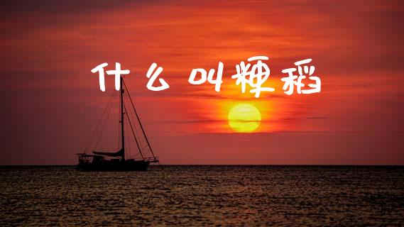 什么叫粳稻_https://cj007.lansai.wang_债券资讯_第1张