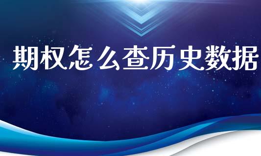期权怎么查历史数据_https://cj007.lansai.wang_全球市场_第1张