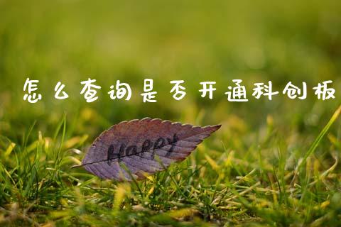 怎么查询是否开通科创板_https://cj007.lansai.wang_债券资讯_第1张