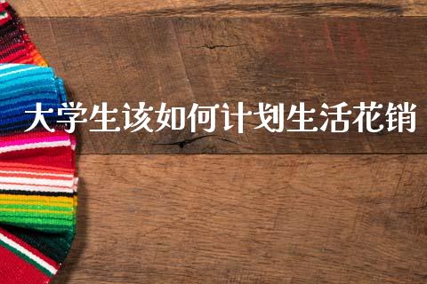大学生该如何计划生活花销_https://cj007.lansai.wang_期货开户_第1张