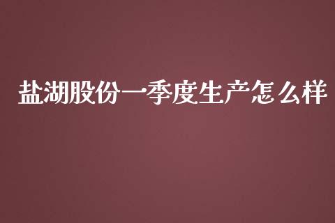 盐湖股份一季度生产怎么样_https://cj007.lansai.wang_债券资讯_第1张