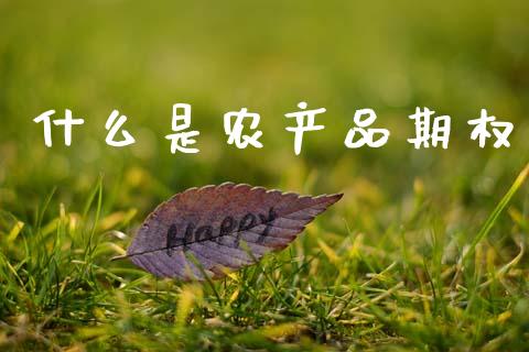 什么是农产品期权_https://cj007.lansai.wang_财经新闻_第1张